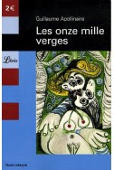 Les onze mille verges : Ou Les amours d'un hospodar